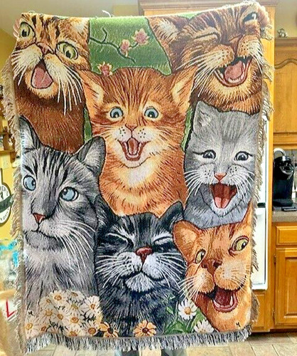 Gatto espressioni facce - espressioni,