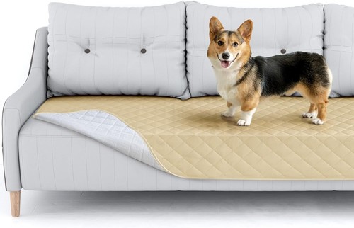 Copridivano cani lavabile - cani,